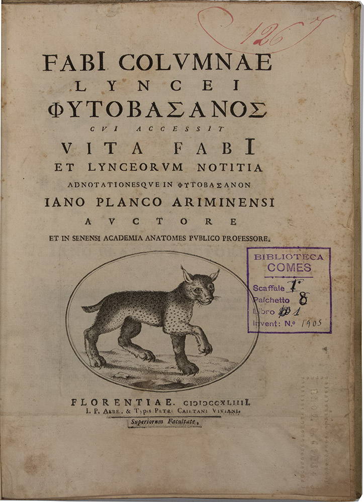 012_Giovanni-Bianchi_Fabi-Columnae-Phytobasanos