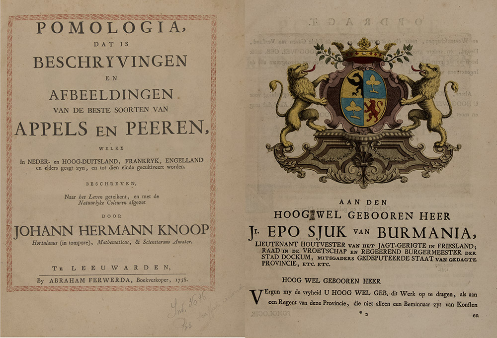 015_Johann-Hermann-Knoop_Pomologia