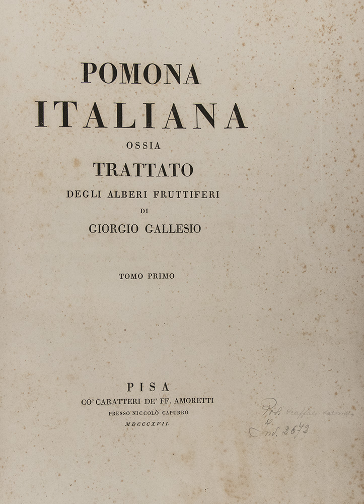 059a_Giorgio-Gallesio_Pomona-Italiana-ossia-trattato-degli-alberi-fruttiferi