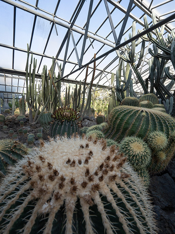 orto botanico verticale